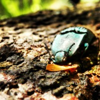 /album/fotogaleria/a018-jpg/