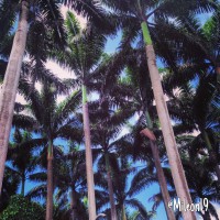 /album/fotogaleria/img-7641-jpg/