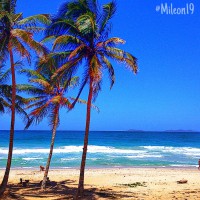 /album/fotogaleria/img-1032-jpg/