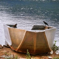 /album/fotogaleria/img-1287-jpg/