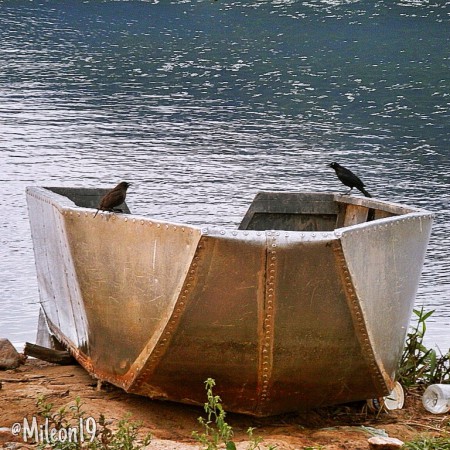 Toma el control de tu barco, no importa que tan grande sea. Instagram: @MilenaPhotographs